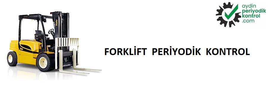 periyodik kontrol